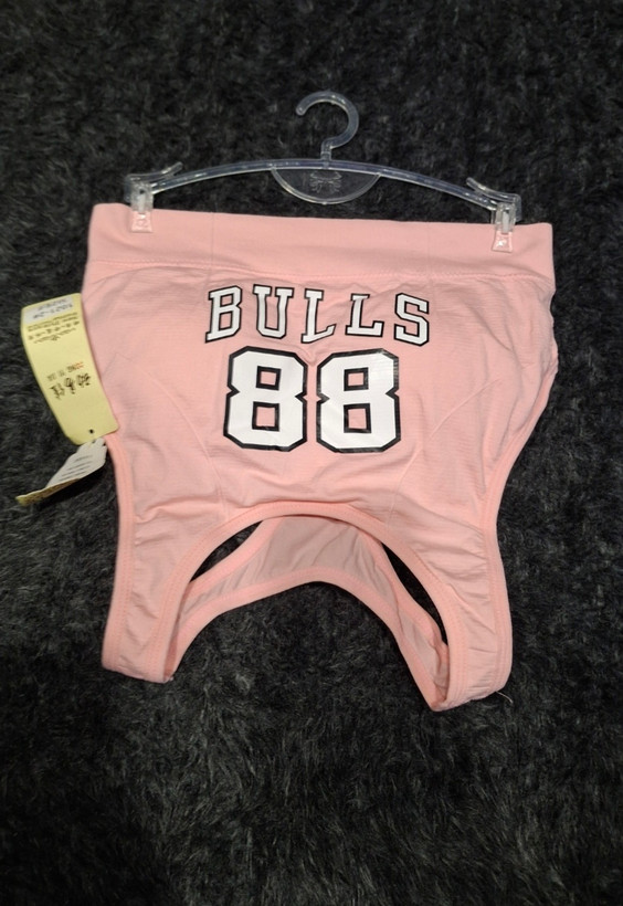 نیمتنه ورزشی/فانتزی طرح Bulls 88 – مدل پشت دوبنده، دارای کاپ متحرک و قابل شستشو